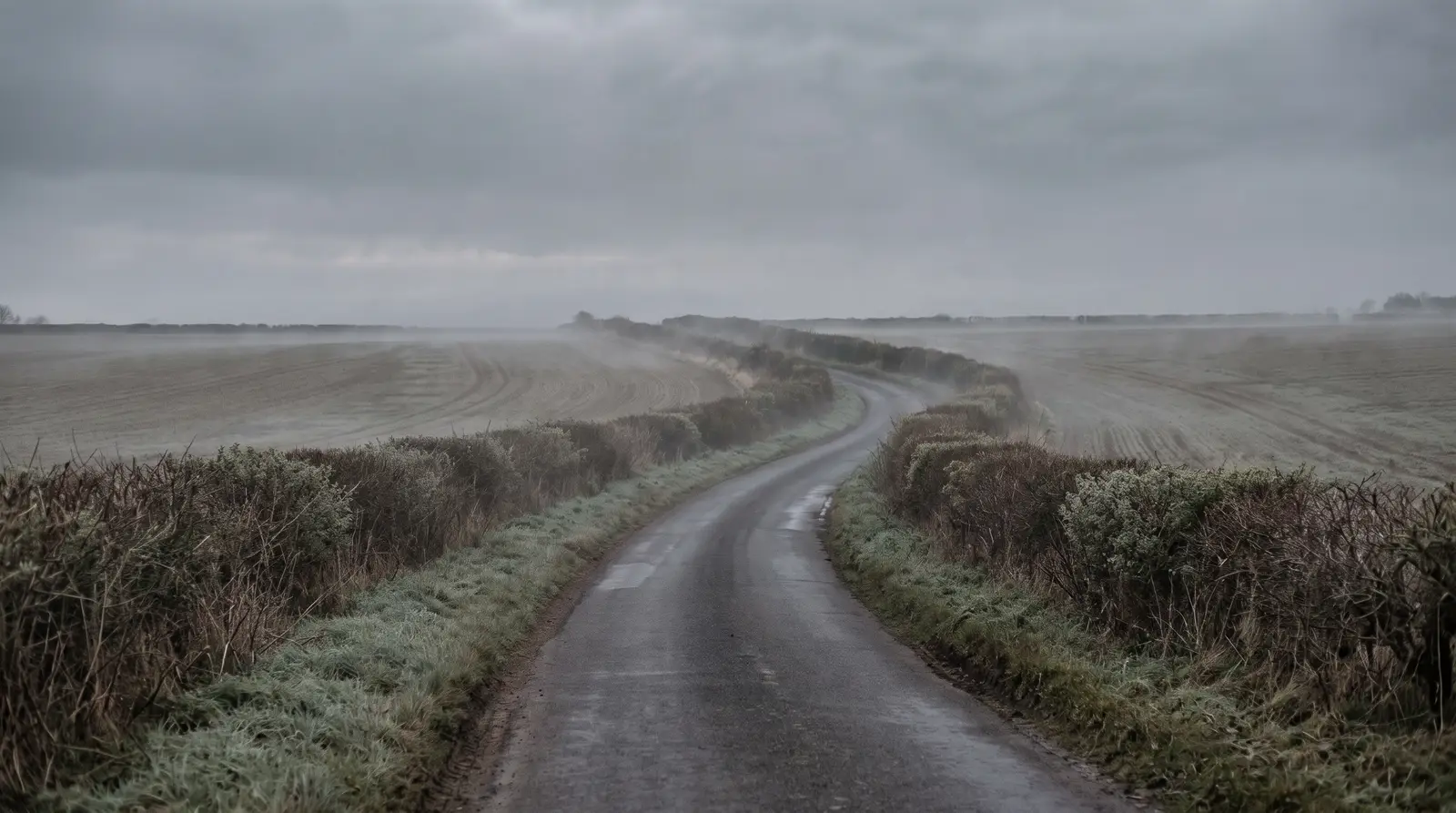 Empty single-track country road curving away between frosted hedgerows, mist lying over ploughed fields under a heavy overcast sky, nobody in sight